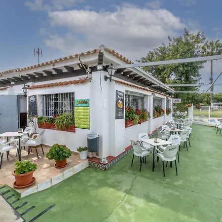Apartment Luminoso En Jardin En Torrevieja